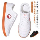 【早い者勝ち★先着10名:300円Offクーポン】太極拳シューズ カンフーシューズ レースアップ メンズ 靴 レディース スニーカー ウェア 練習用 軽量設計 ...