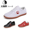 【早い者勝ち★先着10名:300円Offクーポン】太極拳シューズ 太極拳用シューズ 22.5cm-27.0cm 武術 拳法 トレーニング シューズ レザー スポ...