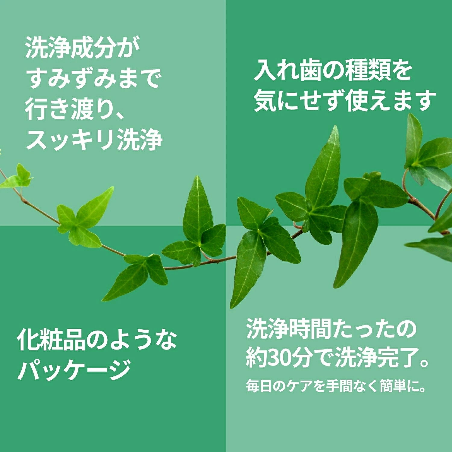 【ケース販売】【30錠入×10個】 クリネ 入れ歯洗浄剤 30錠入り clene オーラルケア ミント 入れ歯 キレイ 汚れ すっきり さっぱり 時短 マウスピース 除菌 抗菌 歯科 デンタル デンタルケア 入れ歯 洗浄剤 マウスピース洗浄 部分入れ歯 洗浄 強力除菌 kurashio-en2-10000048 まとめ買い応援本舗 楽天市場店 サンプル画像3