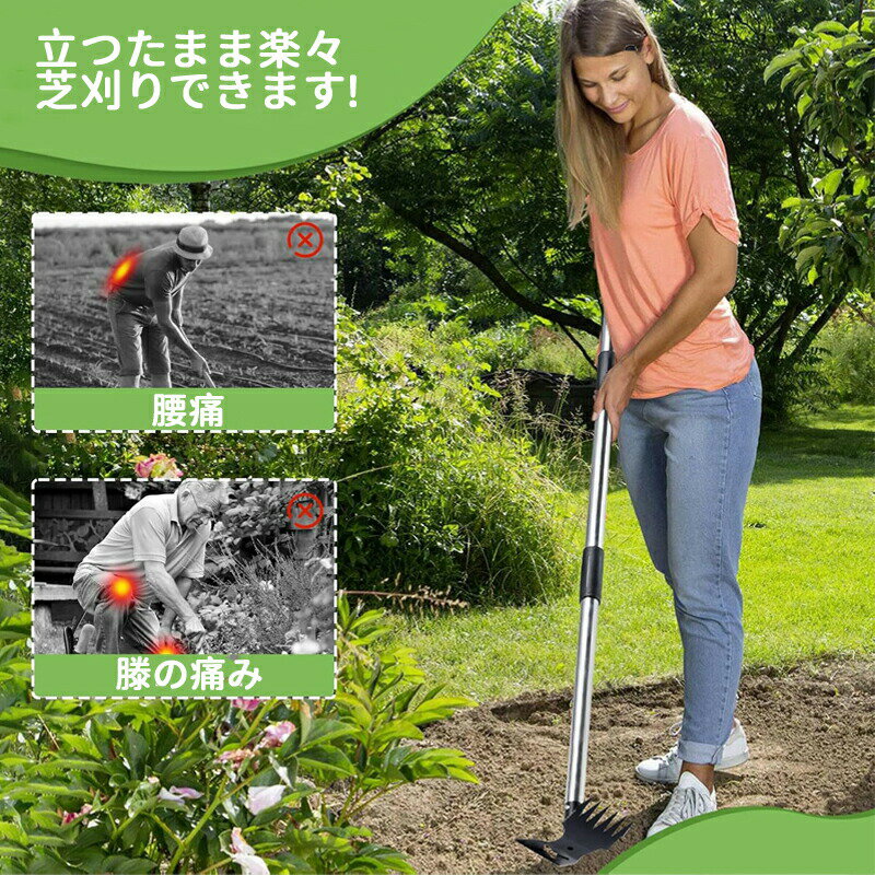 �������� 148cm/183cm ����ƻ�� ���� ƻ�� �������� �졼�� ���� �𴢤�졼��/�� ���� �������� ú�ǹ� Ω�ä��ޤ� ����� ���λ���ष�� ���� Ȫ ���� ƻ ����� ���� ����� �� ���� ��ष�� ���� ���å� �Ĥ��