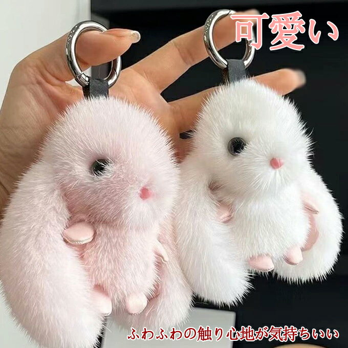 �ե������㡼�� �ե��å����ե��� �����ۥ���� �Хå����㡼�� ��� ��� �ե��� ���� ưʪ �ե��å��� �ߥ˥��㡼�� �� ���ä��� �⤳�⤳ ���襤�� �դ�...