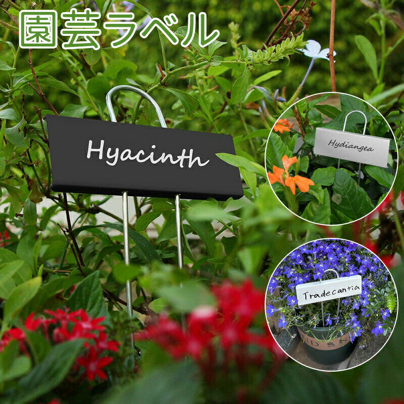 園芸用ラベル 名入れ 植物ラベル 鉄製 金属製 T型 防錆 プランツラベル ローズラベル 園芸ネームラベル プラントマーカー プランツタグ バラ 薔薇 ガーデニング 植木鉢 花壇 プラントタグ 名入れ ガーデニング用品 看板 ミニ黒板