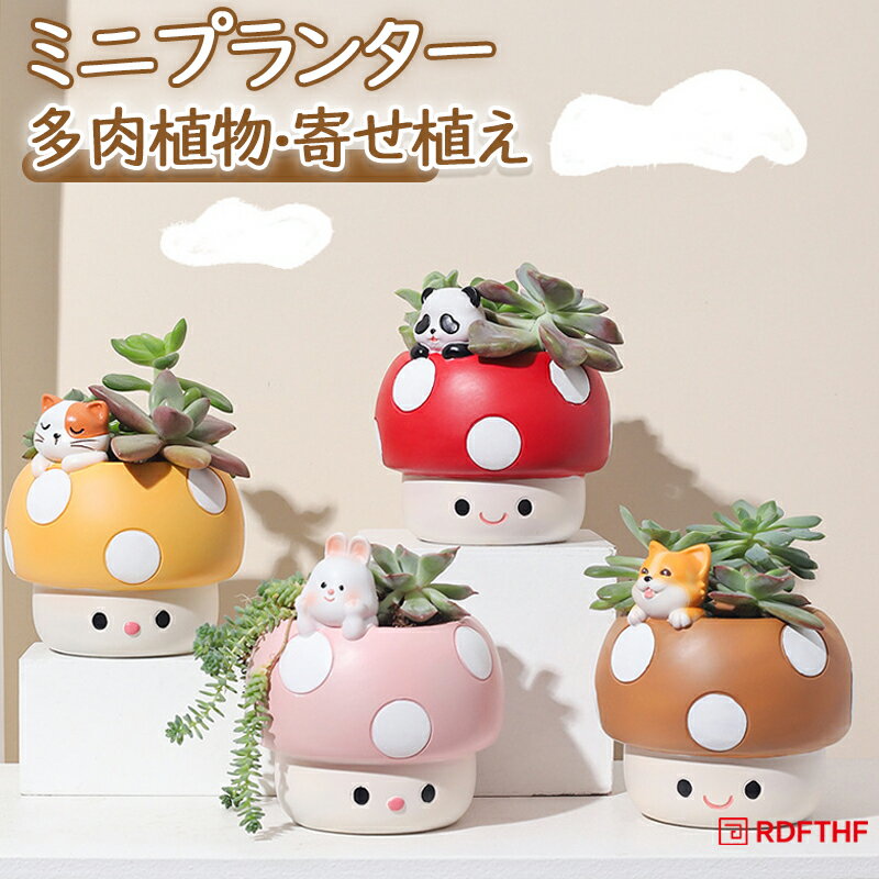 商品詳細この可愛いきのこ型の多肉植物鉢は、イテリアにぴったりのアイテムです。4色から選べるので、お部屋の雰囲気に合わせて楽しめます。樹脂製で軽く、卓上に置いても安心。多肉植物や苔を植えて、ミニチュアの箱庭を作るのもおすすめです。母の日のにも最適で、贈る人の心をほっこりと温めます。おしゃれでユニークなデザイが、日常にちょっとした癒しをラスしますよ！装飾としても活躍する植木鉢で、新鮮な緑をお家にラス。日当たりの良い場所に、まとめて、または、個別に飾ることができます。ハーブ、多肉植物、サボテ、屋内ハーブ栽培、人工観葉植物に最適です。毎日水遣りの必要がなく、だけで室内に緑の潤いを与えてくれます、大いに時間を節約します。植物の育成が好きなのに、お世話になる暇がない人々や園芸栽培の初心者へのおすすめです。通気性,浸透性が良い。植物にとっては、水分や栄養を吸収しやすい。植物の生存率を改善できる。商品内容:植木鉢のみ素材:合成樹脂生産国：中国注意書き：商品写真は、できる限り現品を再現するように画像処理などの補正を行っておりますが、ご利用のモニターや環境により差異が生じます。予めごくださいませ。上記の数値は、実測によるものです。多少の誤差はご容赦ください。仕様は予告なく変更される場合があります。（ご使用に差し支えない程度）至急ご利用頂く場合、大量ご購入場合は事前にメールか問い合わせフォームでご連絡お願いします。何かご不明な点、ご要望などございましたら、お気軽に問い合わせください