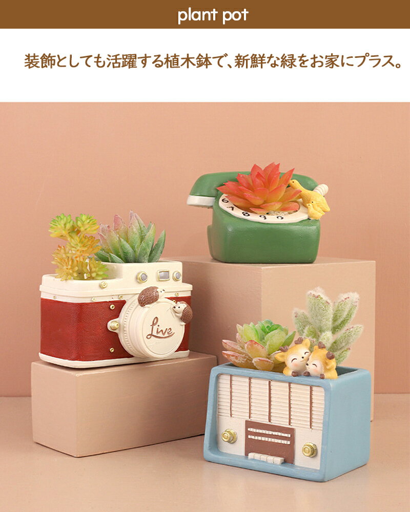 植木鉢 プランター ミニ 多肉 苔 コケリウム 4color 苔リウム 箱庭 鉢 可愛い 動物...