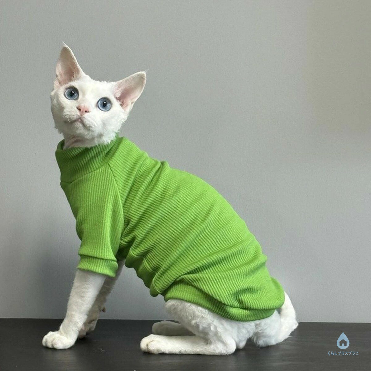 猫服 キャットウェア 男の子 女の子 2本足 ...の紹介画像3
