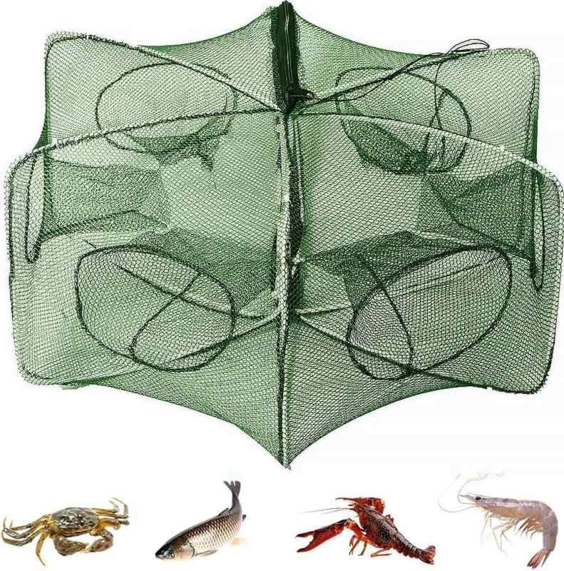 Pochitto Mise ֥ ųݤ ޤꤿ   ǿ     ø峤ξ 