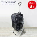 FH-001 キャロスショッピングカート 保冷バッグ 椅子付...