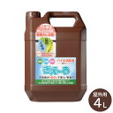 【最大700円OFFクーポン!〜11/26 1:59※要取得...