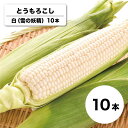 【予約販売※8月下旬~9月中旬頃発送】雪の妖精 10本 白とうもろこし北海道 産直 産地直送 とうもろこし トウモロコシスイートコーン 白 コーン とうきび 野菜 新鮮野菜北の大地 北海道産 同梱不可