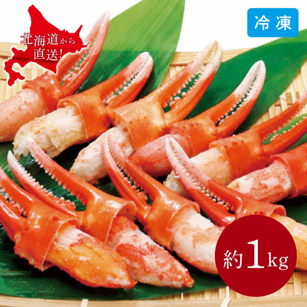 ボイルずわい蟹爪 約1kg 26〜30個入 北海道 産直 ズワイガニ 海鮮 冷凍 カニ 蟹爪 爪肉 お取り寄せ グルメ 冬 ギフト 同梱不可