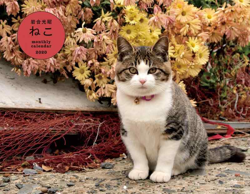 ねこ monthly calendar 2020 ( カレンダー )