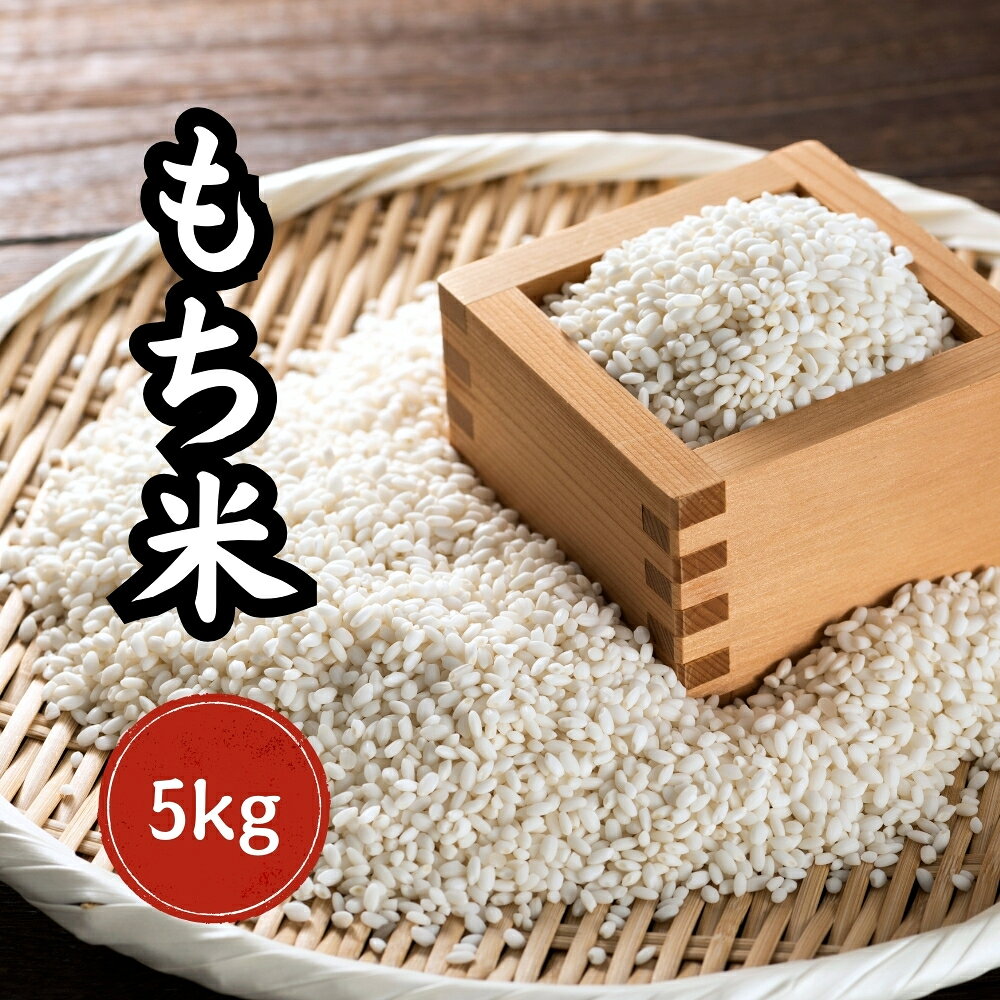 もち米 5kg 国内産100% 複数原料米 訳あり 安い【送料無料】