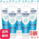 【5本セット】送料無料】ライオン チェックアップ スタンダード 135g マイルドピュアミント 1450ppm 歯磨き粉 はみがきこ フッ素 ホワイトニング 歯磨き粉 歯磨剤 ハミガキ ヤニ取り 黄ばみ 除去 フッ素 美白 ホワイトニング 歯科用 歯科医院取り扱い 歯科医院取扱品