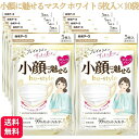 【10袋セット】ビースタイル マスク プリーツ ふつう ホワイト 5枚入 送料無料 小顔に魅せる 3d マスク 白 肌に優しい メイク 落ち にくい マスク イエベ 使い切りマスク 3層構造 PM2.5 風邪 花粉 感染 対策 マスク立体 3d