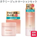 【2個セット】 ロート製薬 カラミンノーセバムローション 180ml + カラミンノーセバムジェル 70g セット Calamee