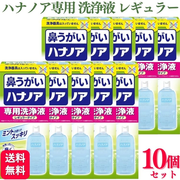 【10個セット】 小林製薬 鼻うがい ハナノア 専用洗浄液 レギュラータイプ 500ml 鼻洗浄