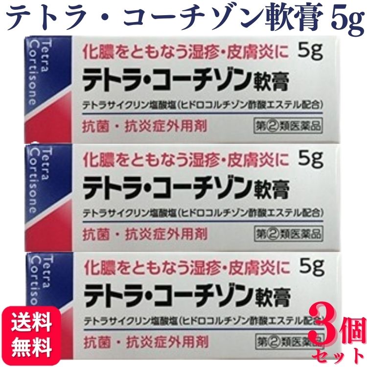 【指定第2類医薬品】【3個セット】 伊丹製薬 テトラ・コーチゾン軟膏 5g テトラ コーチゾン軟膏