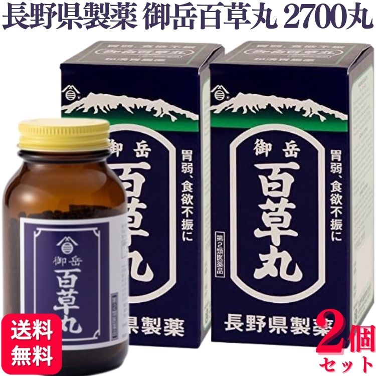 【第2類医薬品】【2個セット】 長野県製薬 御岳百草丸 2700丸 胃腸薬