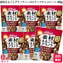 【送料無料】【6個セット】 ケロッグ 素材まるごとグラノラ ヘーゼルナッツチョコレート 400g グラノラ 素材まるごと オーツ麦 栄養 バランス ビタミン タンパク質 食物繊維