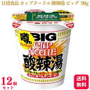  日清 カップヌードル 酸辣湯 ビッグ 98g ケース 1ケース まとめ買い 日清食品 カップラーメン インスタントラーメン スーラータン サンラータン カップ麺 カップめん