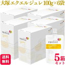 【5箱セット】 大塚製薬 エクエル ジュレ 100g×6袋 ゼリー飲料