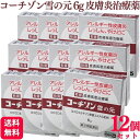 【指定第2類医薬品】【12個セット】 雪の元本店 コーチゾン雪の元 6g 皮膚炎 皮膚薬