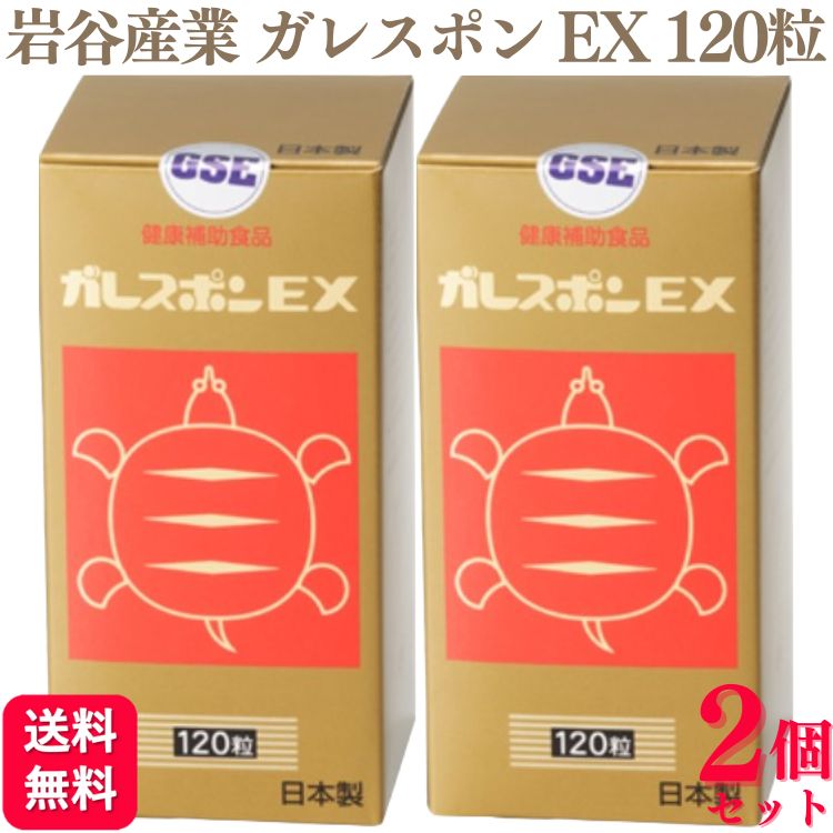 2ĥåȡ ë 쥹ݥEX 120γ äݤ ץ  勵 ץ ӥߥE ץ ץꤪ 󥭥 