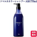 ホーユー ソマルカ カラーシャンプー アッシュ 770ml サロン専売品