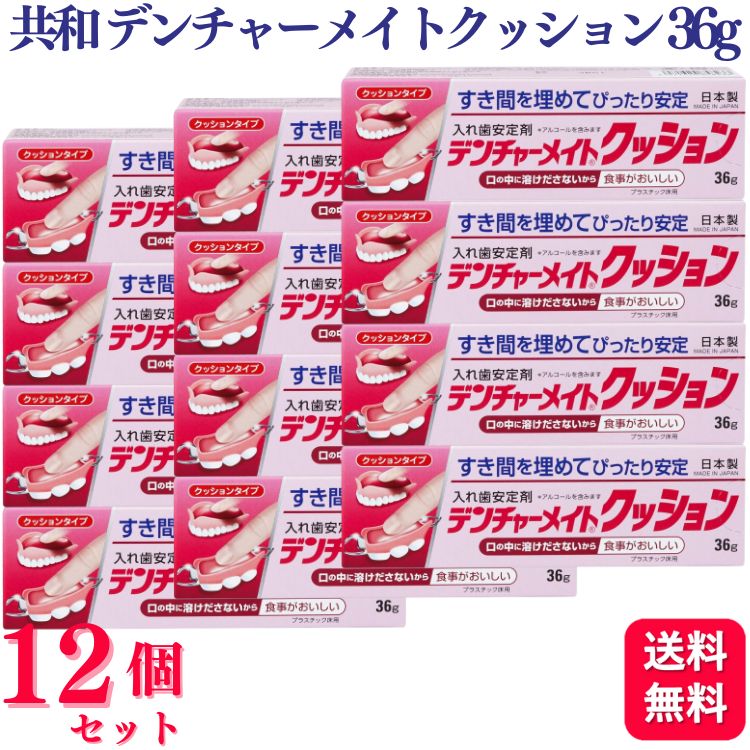 【12個セット】 共和 デンチャーメイトクッションB 36g 入れ歯安定剤