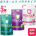 【3個セット】【3種類から選べる】 ポスカ・エフ POs-Ca F パウチタイプ 100g ペパーミント マスカット ストロベリー 歯科専用 送料無料 デンタルケア オーラルケア タブレット マウスウォッシュ