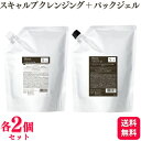 【各2個セット】 デミコスメティクス ビオーブ フォー メン スキャルプクレンジング 2000ml + スキャルプパックジェル 2000g セット 薬用シャンプ...