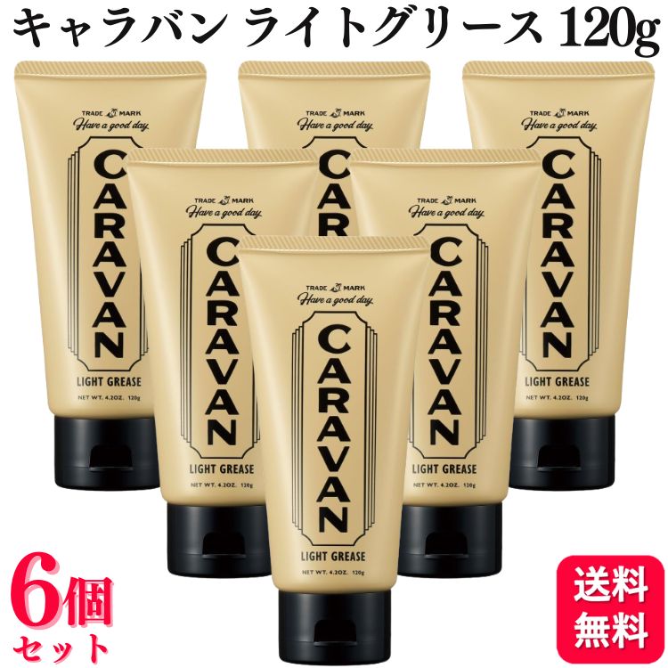 【6個セット】 デミコスメティクス キャラバン ライトグリース 120g ウエット パーマ