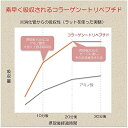 健康補助食品 こらぁ元気。 4gx75本 3