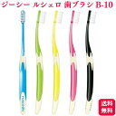 GC ジーシー ルシェロ B-10 S/M 歯ブラシ ハブラシ 歯科 送料無料 歯ブラシ ハブラシ 歯科 送料無料 ふつう やわらかめ オーラルオーラルケア マッサージ 汚れ すっきり 男女兼用 はぶらし オーラルケア すっきり ケア 歯ブラシ