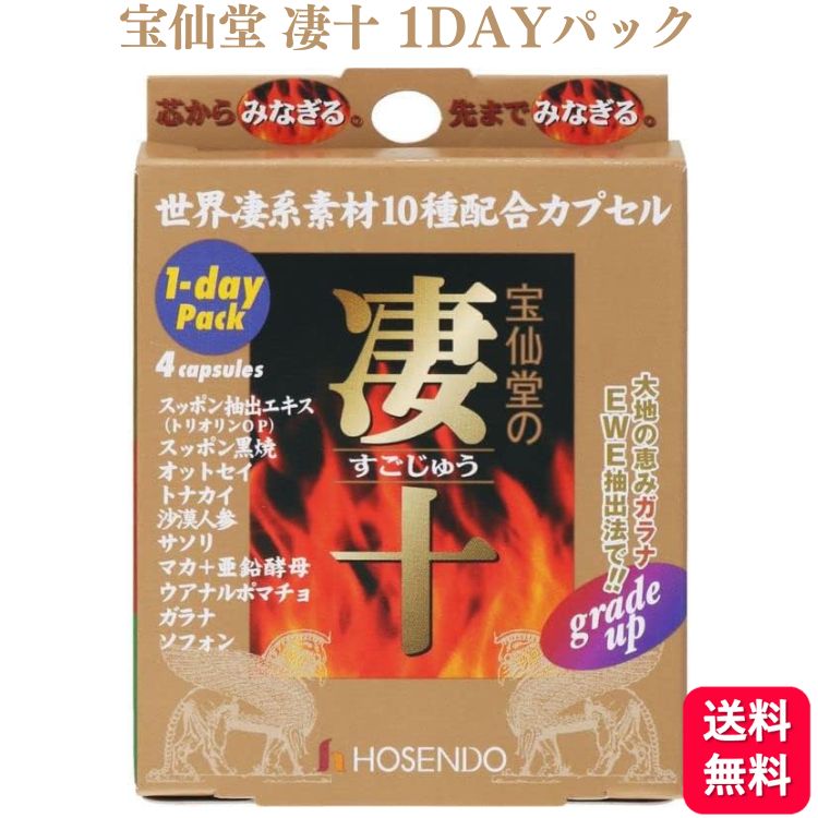 宝仙堂 凄十 1DAYパック 芯からみなぎる 先までみなぎる スッポン