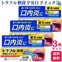 【指定第2類医薬品】【3個セット】 第一三共ヘルスケア トラフル軟膏 PRO クイック 5g 口内炎