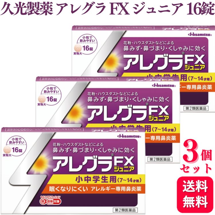 2ʡۡ3ĥåȡ ׸ 쥰 FX ˥ 16 륮 ɡ ʴ