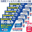 【第1類医薬品】【5個セット】 皇漢堂 ファモチジン錠 クニヒロ 6錠 胃腸薬 胃痛 胸やけ