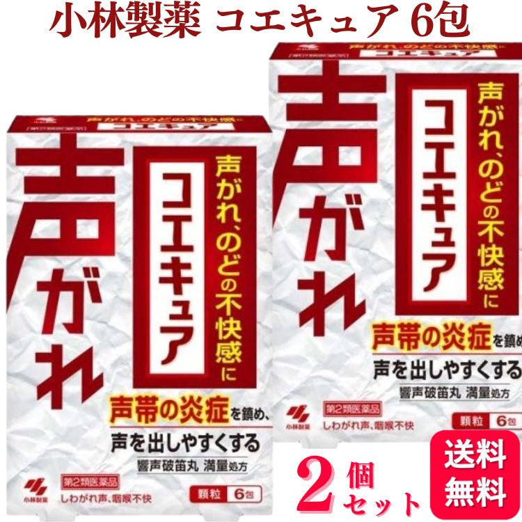 【第2類医薬品】【2個セット】 小林製薬 コエキュア 6包 声がれ のどの不快感