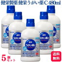 【第3類医薬品】【5個セット】 健栄製薬 健栄うがい薬 C 480ml うがい薬 うがい のど
