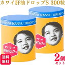 【指定第2類医薬品】【2個セット】 河合薬業 肝油ドロップS 300粒 カワイ 肝油ドロップs