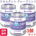 【3個セット】リカルデント ボトル ガム 140g グレープミント 歯科医院専用 送料無料