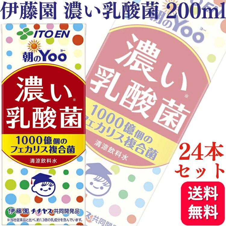 【24本セット】伊藤園 朝のYoo 濃い乳酸菌 紙パック 200ml