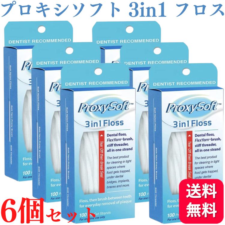 プロキシソフト 3in1フロス レギュラータイプ 100本入 6個セット floss フロススレッダー ブリッジ インプラント フィラメント 歯科 歯間ブラシ デンタルフロス フロアフロス フロス オーラルケア 糸ようじ 歯 虫歯 歯周炎予防 口臭