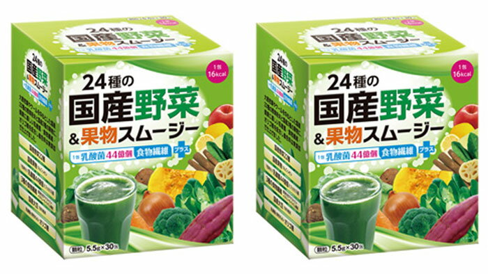 【2個セット】24種の国産野菜＆果物スムージー - スムージー 野菜 果物 乳酸菌 食物繊維 ダイエット 腸..