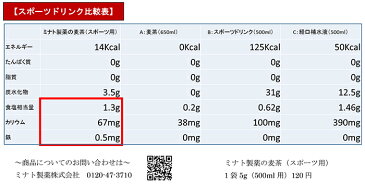 ミナト製薬の麦茶(スポーツ用) 5g 2ケース(1ケース12袋入り) - 【麦茶】【スポーツ飲料】【塩分補給】【ドリンク】【ノンカフェイン】【ミネラル】【鉄分】【UV対策】【発熱】【アイシング】【スポーツ】【建設現場】【熱中症】