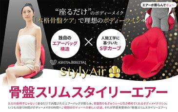 芦屋美整体 骨盤スリムスタイリーエアー CY-1153 Styly Air ダークブラウン/チェリーピンク - 【芦屋美整体】【骨盤】【矯正】【骨盤矯正】【椅子】【家電】【マッサージ器】【マッサージ機】【クリスマス】【バレンタイン】【ホワイトデー】【父の日】【pickup】