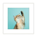 ★特価★ <メール便>アートトワレ 非常用トイレセット5回分(約1日分) ねこ ATW-5_003 まいにち - トイレ 大小対応 飾り 壁 防災 災害 停電 ...