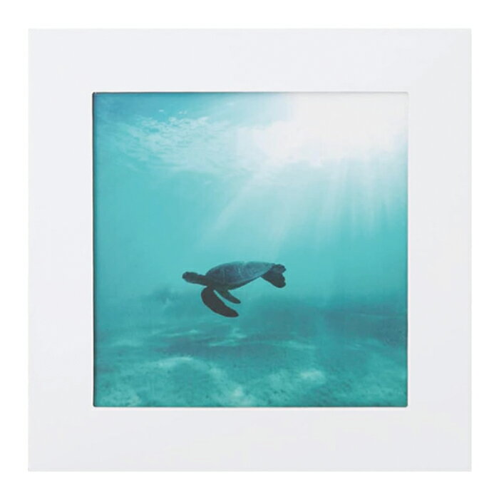 ★特価★ ＜メール便＞アートトワレ 非常用トイレセット5回分(約1日分) ウミガメ ATW-5_008 まいにち - ..