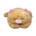 ★特価★ もふもふクッション湯たんぽ 茶トラ - ぬいぐるみ 湯たんぽ クッション 秋 冬 ねこちゃん 猫 ネコ 可愛い チャトラ プレゼント ギフト 暖かい ...